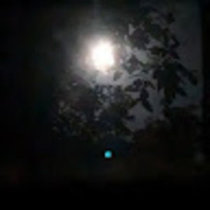 Meet your Posher, Noah